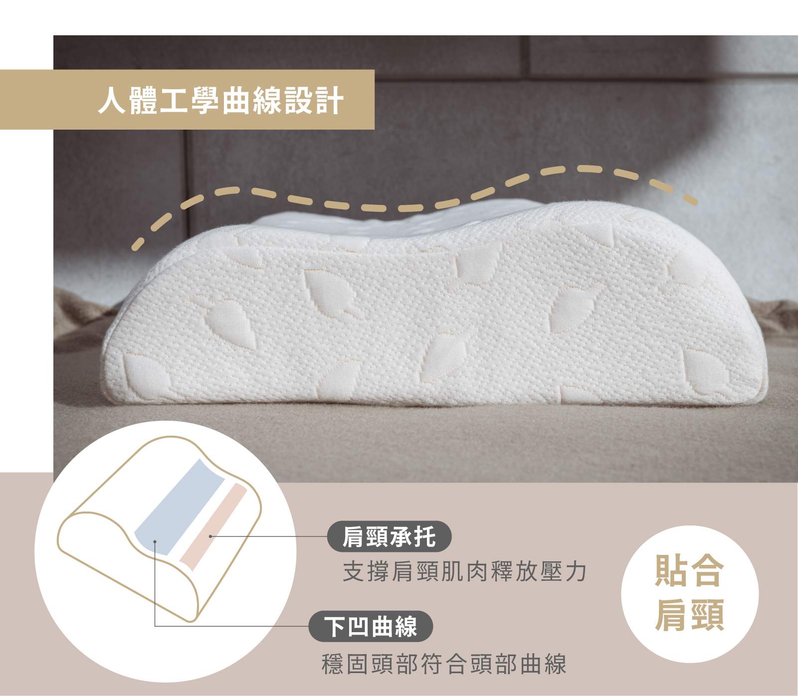 工作區域 44003 1