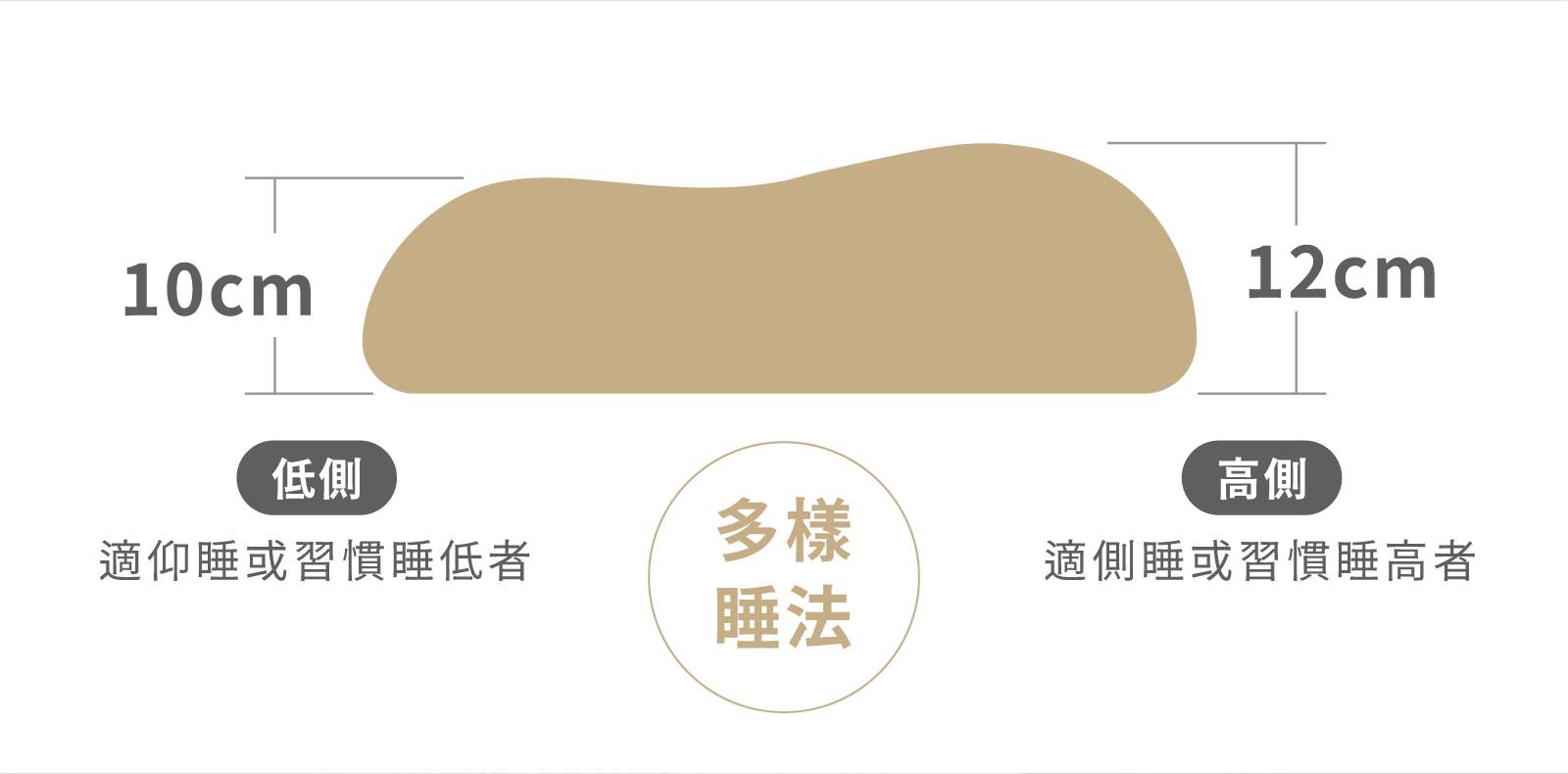 工作區域 54003 1