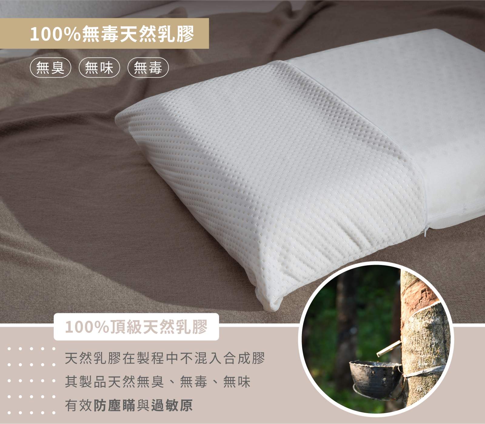 乳膠材質介紹說明