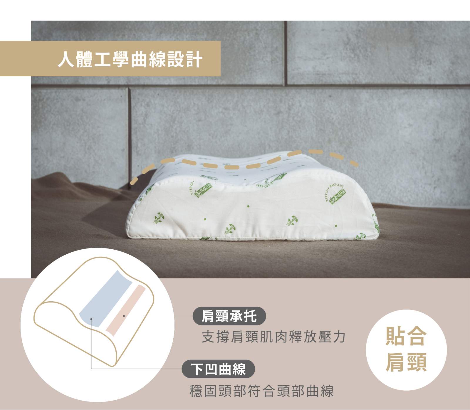曲線型乳膠枕特色說明