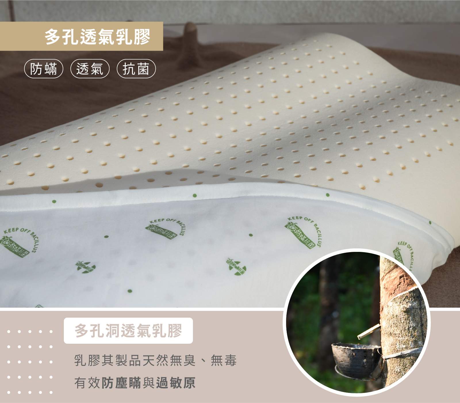 乳膠材質介紹說明