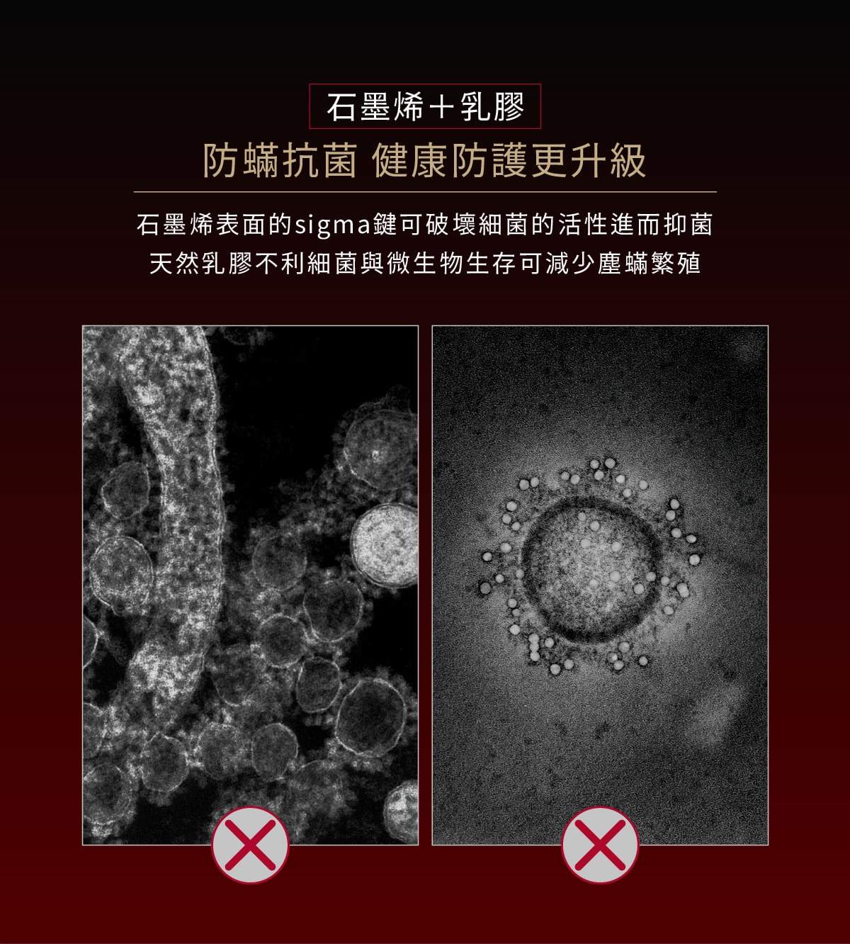 石墨烯抑菌說明